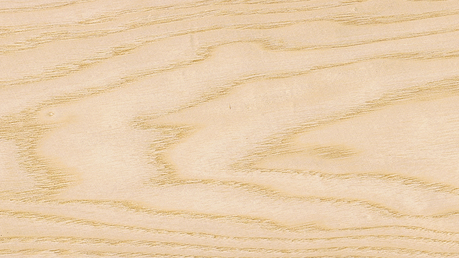 dettaglio di legno di frassino europeo